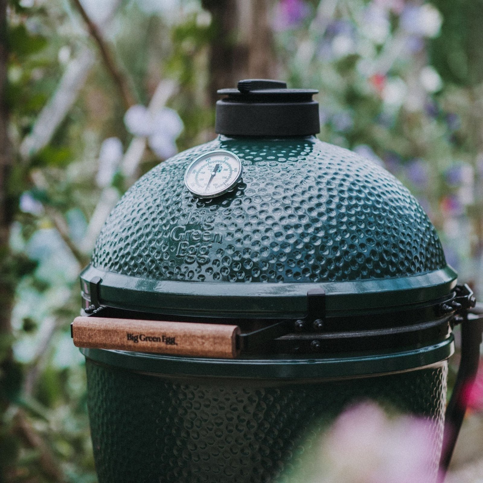 Big Green Egg Large Big Green Egg