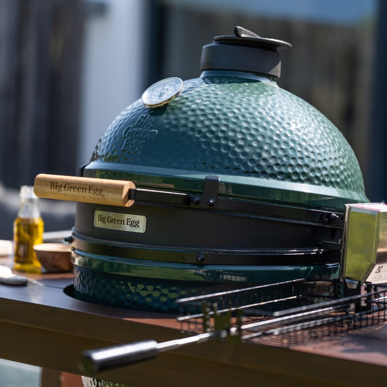 Big Green Egg Large Big Green Egg